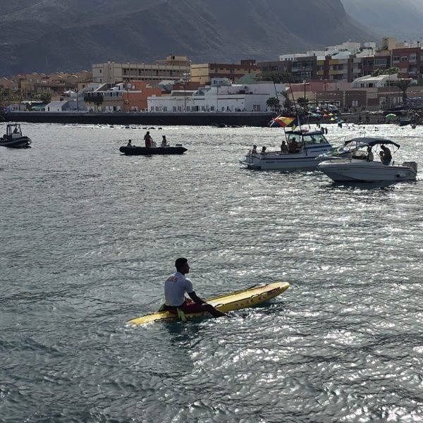 3c5ae5b6-9f77-4b41-9a8a-f94d1e35681d