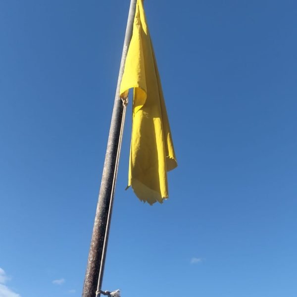 a0263a62-9275-40b0-96f0-7eb297c00cae