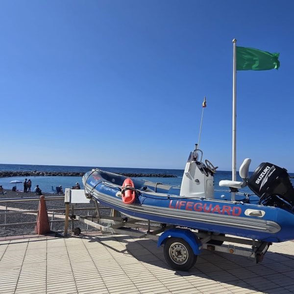 ab034d2e-b0a6-4e8f-8d22-c0fba7e7b964