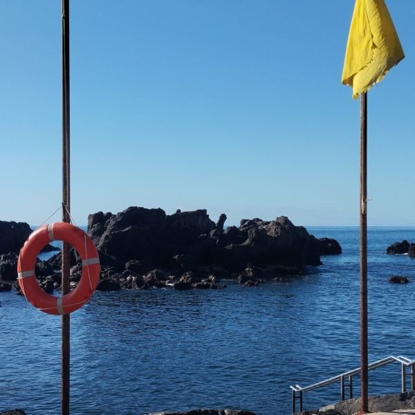 f0fbd001-e113-4d7a-a833-f7587e7436ed